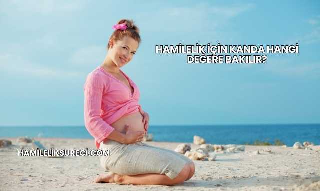 Hamilelik İçin Kanda Hangi Değere Bakılır?