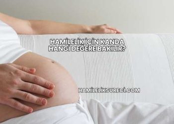 Hamilelik İçin Kanda Hangi Değere Bakılır?