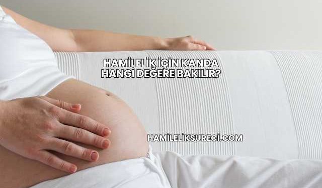 Hamilelik İçin Kanda Hangi Değere Bakılır?