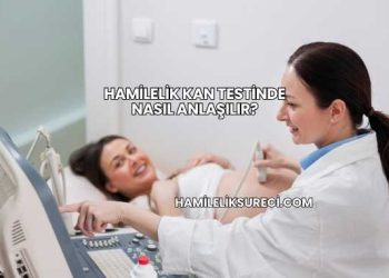 Hamilelik Kan Testinde Nasıl Anlaşılır?