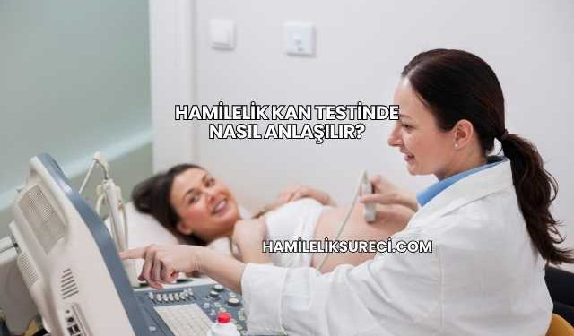 Hamilelik Kan Testinde Nasıl Anlaşılır?