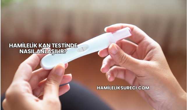 Hamilelik Kan Testinde Nasıl Anlaşılır?