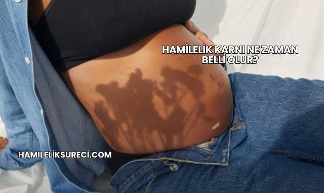 Hamilelik Karnı Ne Zaman Belli Olur?