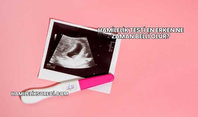 Hamilelik Testi En Erken Ne Zaman Belli Olur?