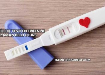 Hamilelik Testi En Erken Ne Zaman Belli Olur?