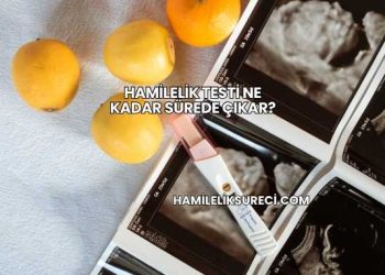 Hamilelik Testi Ne Kadar Sürede Çıkar?
