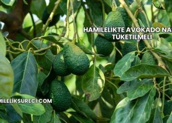Hamilelikte Avokado Nasıl Tüketilmeli