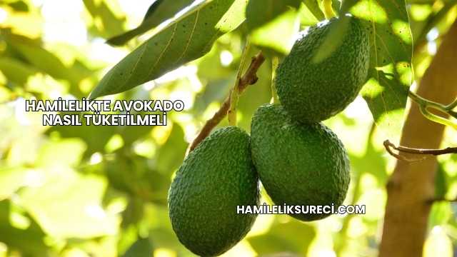 Hamilelikte Avokado Nasıl Tüketilmeli