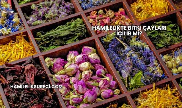 Hamilelikte Bitki Çayları İçilir mi?
