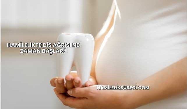 Hamilelikte Diş Ağrısı Ne Zaman Başlar?