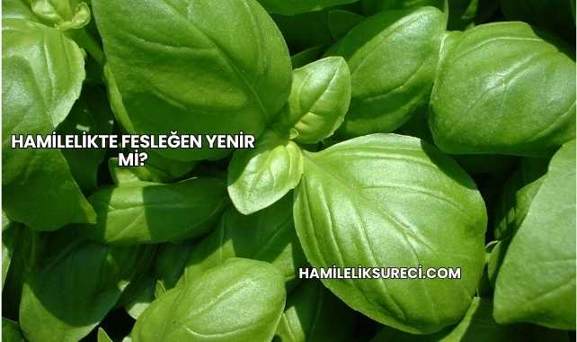 Hamilelikte Fesleğen Yenir mi?