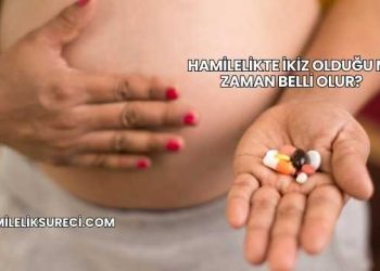 Hamilelikte İkiz Olduğu Ne Zaman Belli Olur?