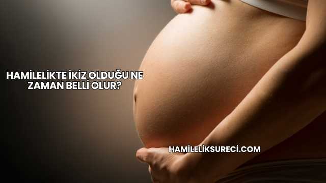 Hamilelikte İkiz Olduğu Ne Zaman Belli Olur?