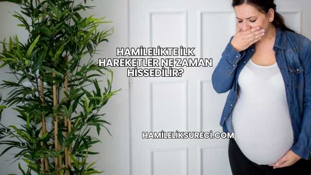Hamilelikte İlk Hareketler Ne Zaman Hissedilir?