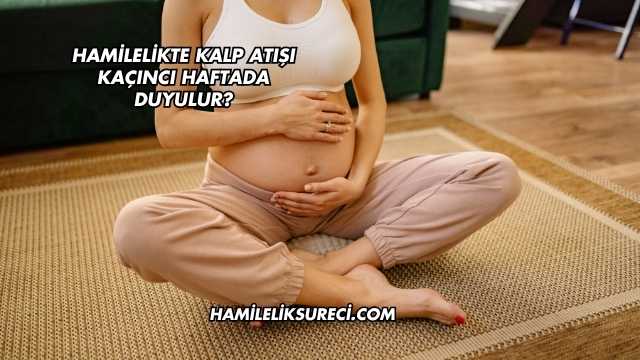 Hamilelikte Kalp Atışı Kaçıncı Haftada Duyulur?