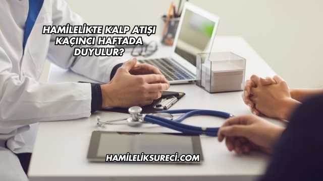 Hamilelikte Kalp Atışı Kaçıncı Haftada Duyulur?