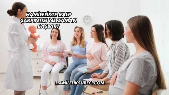 Hamilelikte Kalp Çarpıntısı Ne Zaman Başlar?