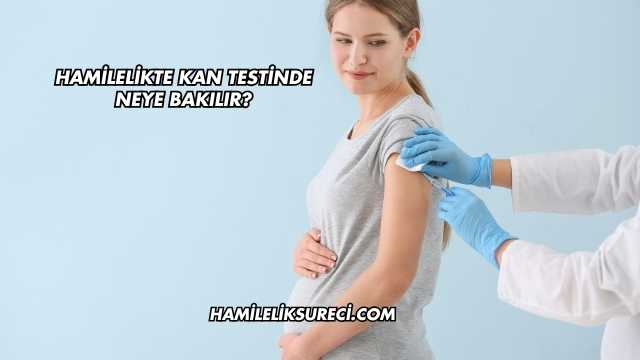 Hamilelikte Kan Testinde Neye Bakılır?