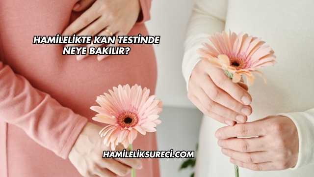 Hamilelikte Kan Testinde Neye Bakılır?