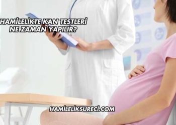 Hamilelikte Kan Testleri Ne Zaman Yapılır?