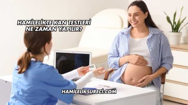 Hamilelikte Kan Testleri Ne Zaman Yapılır?