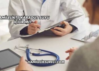 Hamilelikte Karadut Suyu İçilir mi?