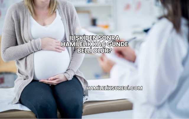 İlişkiden Sonra Hamilelik Kaç Günde Belli Olur?