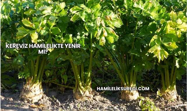 Kereviz Hamilelikte Yenir mi?