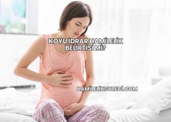 Koyu İdrar Hamilelik Belirtisi mi?