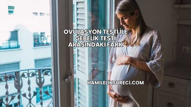 Ovulasyon Testi İle Gebelik Testi Arasındaki Fark