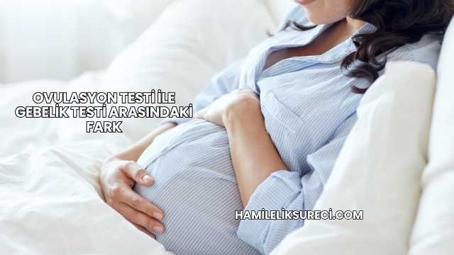 Ovulasyon Testi İle Gebelik Testi Arasındaki Fark