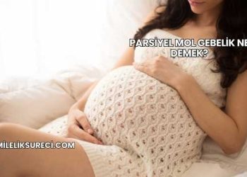 Parsiyel Mol Gebelik Ne Demek?