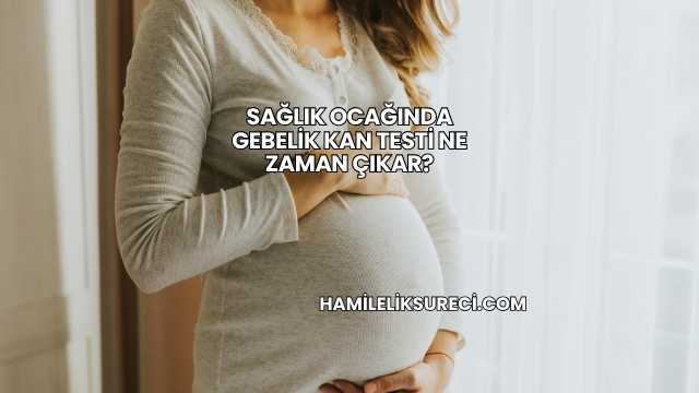 Sağlık Ocağında Gebelik Kan Testi Ne Zaman Çıkar?