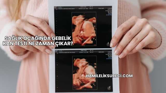 Sağlık Ocağında Gebelik Kan Testi Ne Zaman Çıkar?