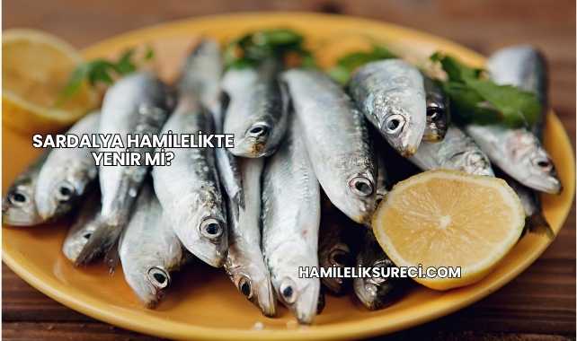 Sardalya Hamilelikte Yenir mi?