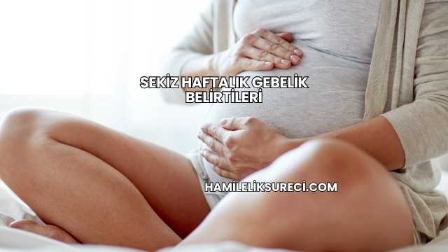 Sekiz Haftalık Gebelik Belirtileri