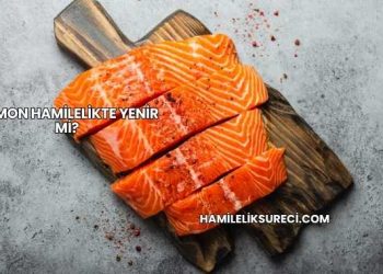 Somon Hamilelikte Yenir mi?