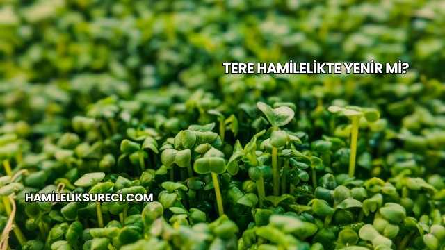 Tere Hamilelikte Yenir mi?