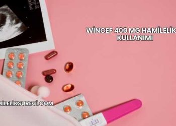 Wincef 400 Mg Hamilelikte Kullanımı