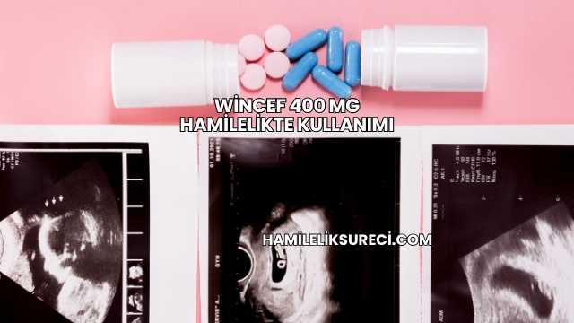 Wincef 400 Mg Hamilelikte Kullanımı