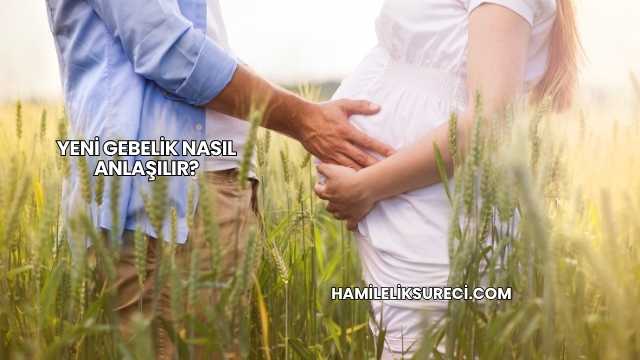 Yeni Gebelik Nasıl Anlaşılır?