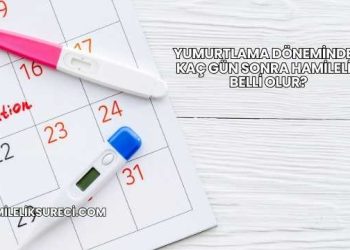 Yumurtlama Döneminden Kaç Gün Sonra Hamilelik Belli Olur?
