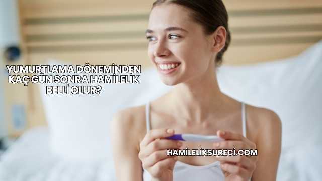 Yumurtlama Döneminden Kaç Gün Sonra Hamilelik Belli Olur?
