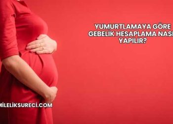 Yumurtlamaya Göre Gebelik Hesaplama Nasıl Yapılır?