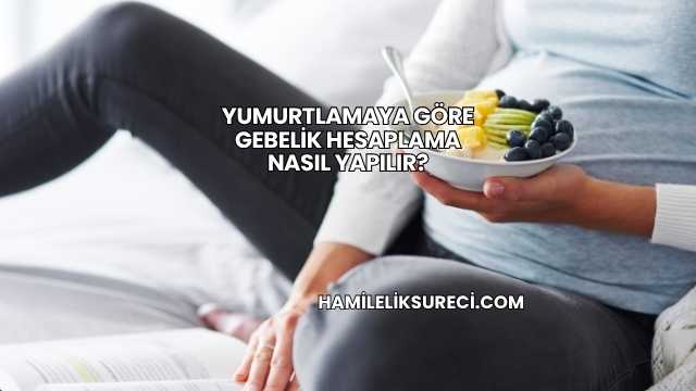 Yumurtlamaya Göre Gebelik Hesaplama Nasıl Yapılır?
