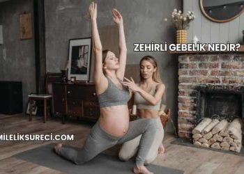 Zehirli Gebelik Nedir?