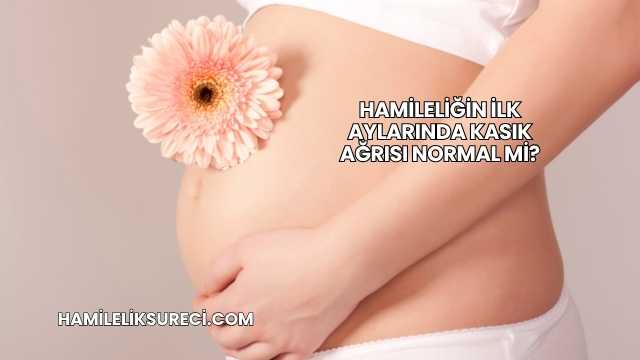 Hamileliğin İlk Aylarında Kasık Ağrısı Normal mi?