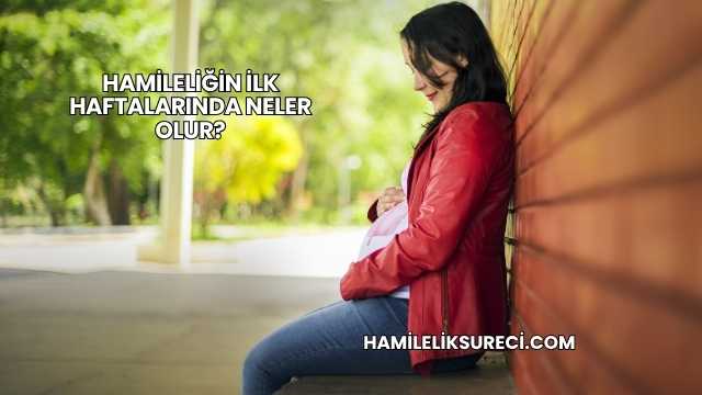 Hamileliğin İlk Haftalarında Neler Olur?