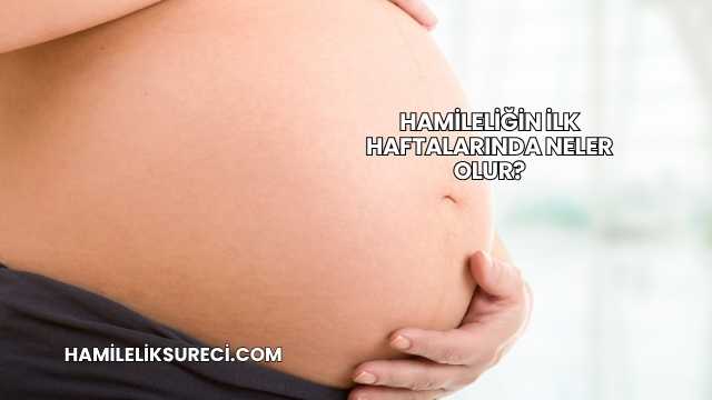 Hamileliğin İlk Haftalarında Neler Olur?