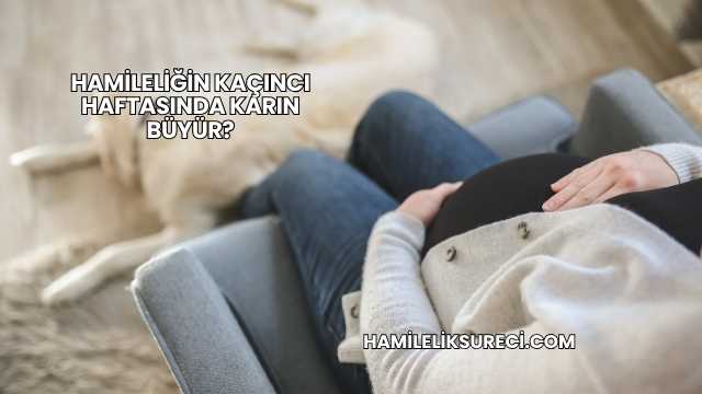 Hamileliğin Kaçıncı Haftasında Karın Büyür?